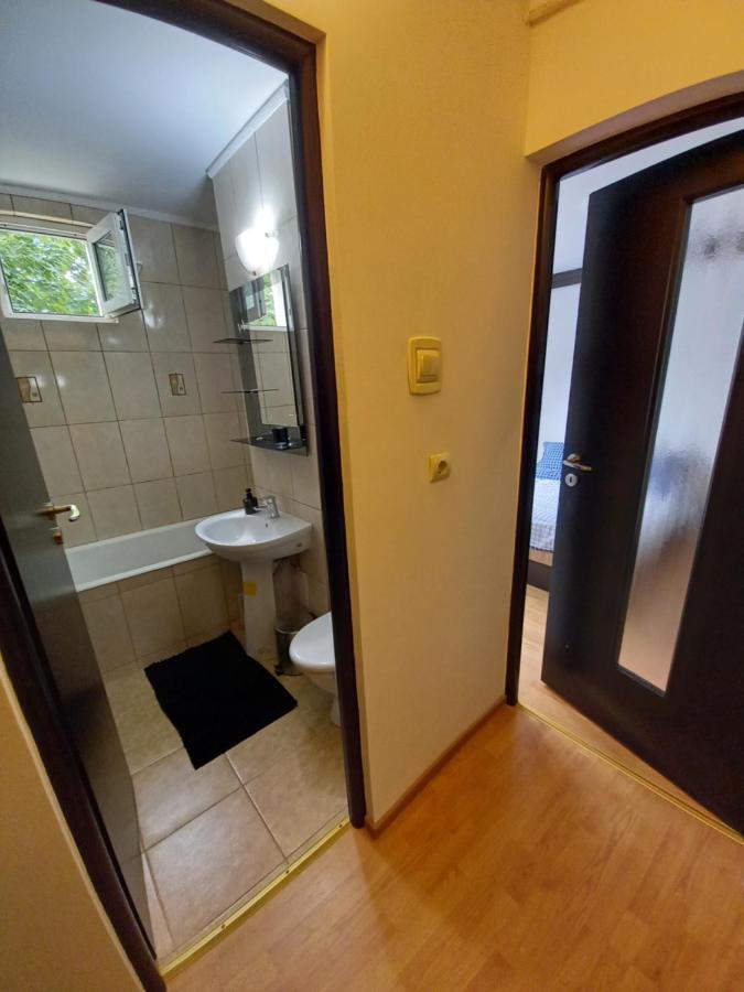 Alma Apartment Piatra Neamt